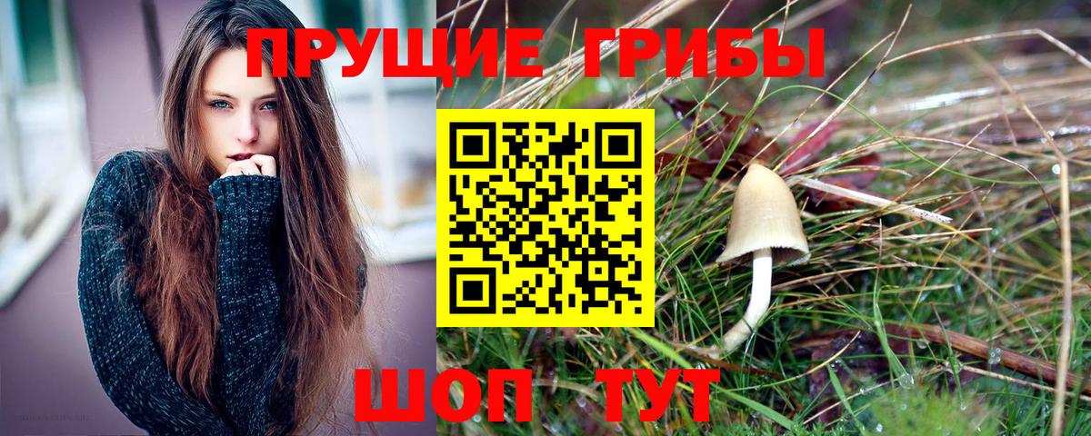 Заинск  Галлюциногенные грибы мицелий  Вход с VPN  Псилоцибиновые грибы прущие грибы 
